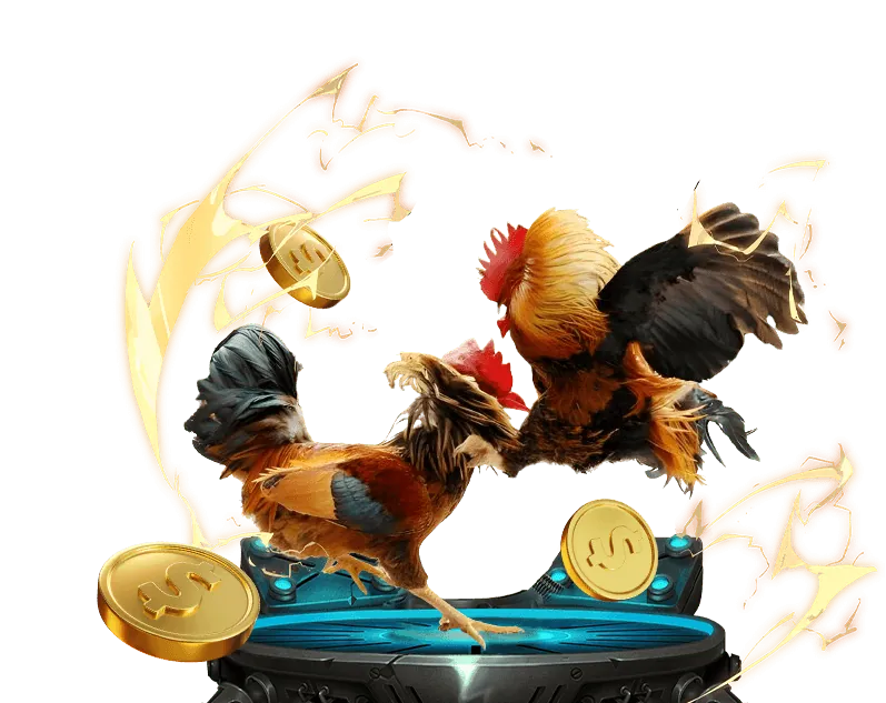 Các bước đăng ký tài khoản 555win